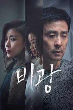 비광